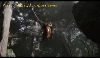 So verwandeln Sie sich in Black Myth Wukong wieder in eine goldene Zik