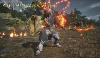 So beheben Sie den Black Myth Wukong-Fehler „Nicht genügend Videosp