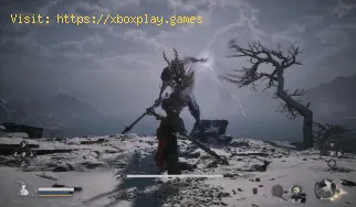 Wo man Cyan Loong in Black Myth Wukong findet