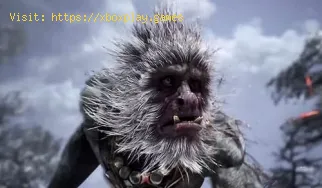 So erhalten Sie das Wind Tamer Vessel in Black Myth Wukong