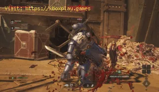 Comment trouver les données de l'armurerie dans Warhammer 40K Sp
