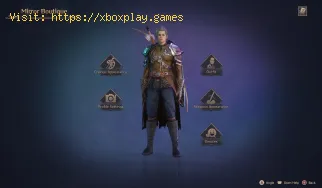 So ändern Sie das Erscheinungsbild in Throne And Liberty