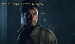 So erhalten Sie alle Trophäen und Erfolge in Until Dawn remake