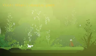 So spielen Sie im Ultrawide-Modus in Neva