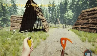 Cómo conseguir un mapa y una brújula en The Forest