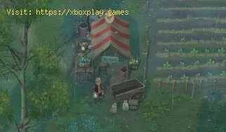 Dónde encontrar las herramientas en Mirthwood