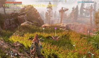 Alle Metal Flower-Standorte in Horizon Zero Dawn Remastered