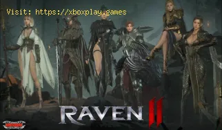 So beheben Sie Verbindungsprobleme und das Hängenbleiben von Raven 2 