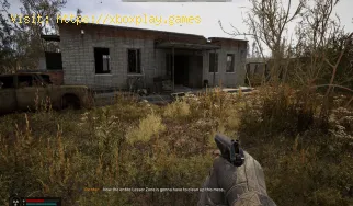 So behalten Sie Tutorial-Elemente in Stalker 2
