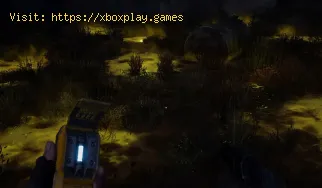So beheben Sie die dunkle Beleuchtung von STALKER 2