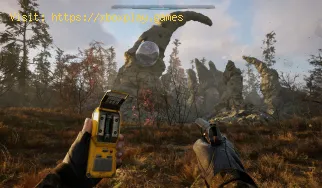 So beheben Sie das Stottern von STALKER 2