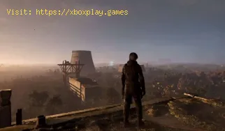 So töten Sie Rattenschwärme in Stalker 2