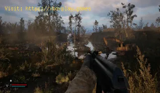 Umgang mit Anomalien in STALKER 2