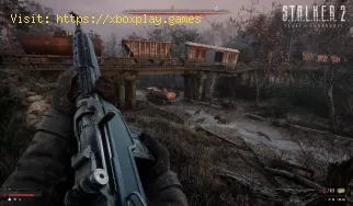 So schließen Sie die Nebenquest „Nightingale’s Hunt“ in Stalker