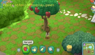 So bauen Sie einen Pizzaofen für Chefkoch Gino in MySims