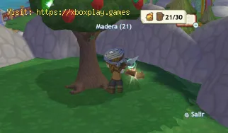So bauen Sie die Treppe in MySims Kingdom wieder auf