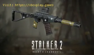 So erhalten Sie das Trophäen-Sturmgewehr in Stalker 2
