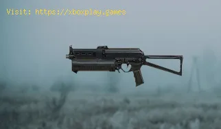So erhalten Sie Shahs Mate SMG in Stalker 2