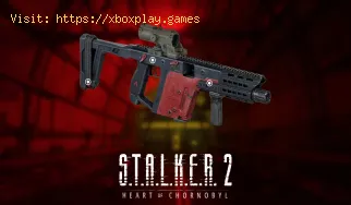 So finden Sie die Riemann-Maschinenpistole in Stalker 2