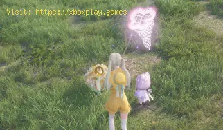 Como obter besouros Blossom em Infinity Nikki
