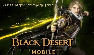 Black Desert Mobile: qual é a melhor classe