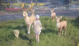 Como obter Crown Fluff em Infinity Nikki