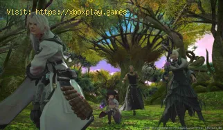 Final Fantasy XIV: Come ottenere il gatto grasso minion su FFXIV