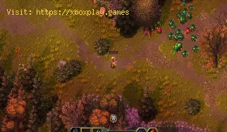 So schalten Sie die Dunkle Zitadelle in Heroes of Hammerwatch 2 frei