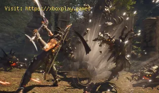 So beheben Sie den schwerwiegenden Ninja Gaiden 2 Black-Fehler