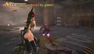Dateispeicherort in Ninja Gaiden 2 Black speichern