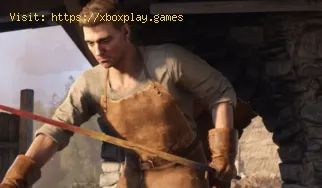 So installieren Sie Mods in Kingdom Come Deliverance 2
