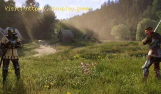 So verwenden Sie Konsolenbefehle in Kingdom Come Deliverance 2