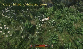 Wo man Kamille in Kingdom Come Deliverance 2 findet