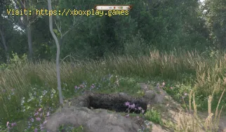 So erhalten Sie ein Pik in Kingdom Come Deliverance 2
