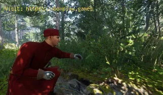 So erhalten Sie Herb Paris in Kingdom Come Deliverance 2