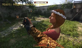 So beheben Sie das Verschwinden des Kingdom Come Deliverance 2-Pferdes