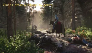 So finden Sie Honig in Kingdom Come Deliverance 2
