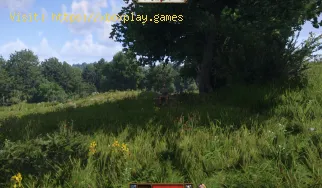 So erhalten Sie Mintha-Parfüm in Kingdom Come Deliverance 2