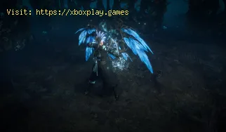 Los mejores ídolos de Path of Exile Legacy of Phrecia