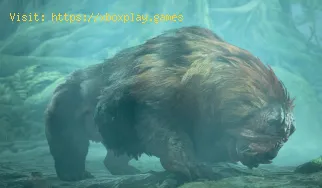 So gelangen Sie in Kapitel 1 von Monster Hunter Wilds zum Wald