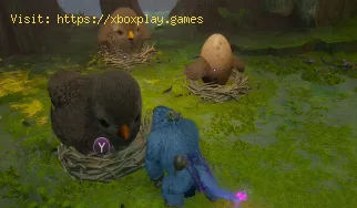 How To Solve The Bird Puzzle In Split Fiction