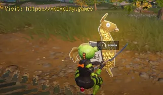 So finden Sie 3 goldene Lamas in Fortnite