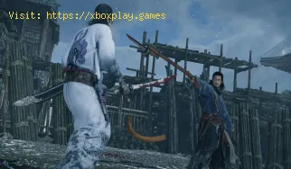 Comment jouer en mode coopératif dans Rise of the Ronin