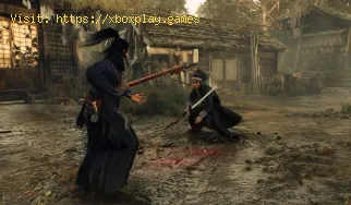 Comment débloquer un planeur dans Rise of the Ronin