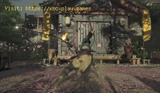 So parieren, kontern und ausweichen Sie in Assassin's Creed Shado