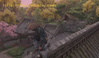 Wo man die verlorenen Seiten des Gansenji-Tempels in Assassin's C
