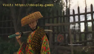 Alle Kabukimono-Standorte in Assassin's Creed Shadows