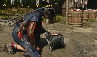 So fügen Sie dem Versteck in Assassin's Creed Shadows Tiere hinz