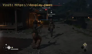 So rufen Sie Ihr Reittier in Assassin's Creed Shadows