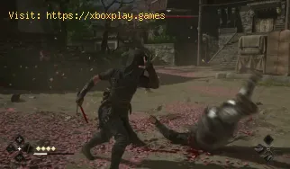 So erhalten Sie das legendäre Igan Sunset Tanto in Assassin's Cr